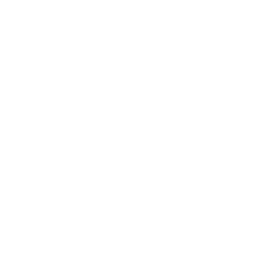 Sandip University Logo
